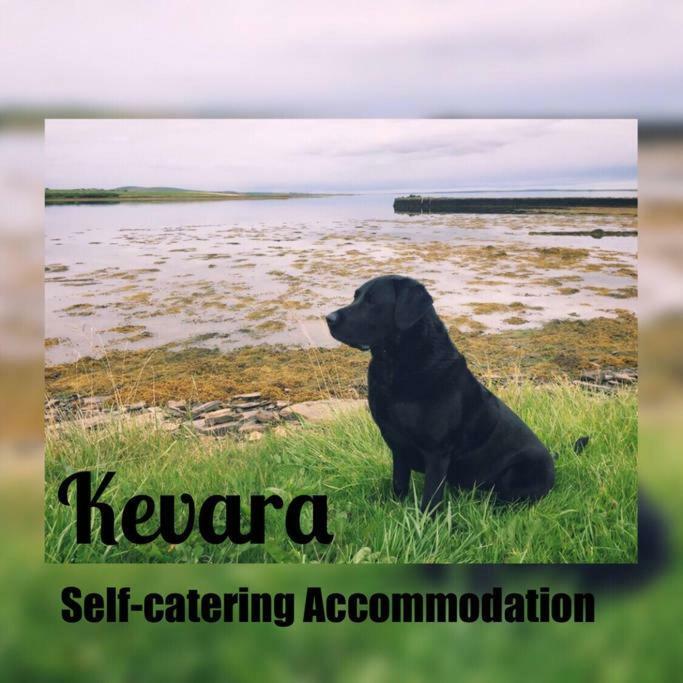 Kevara Self-Catering Finstown Eksteriør bilde
